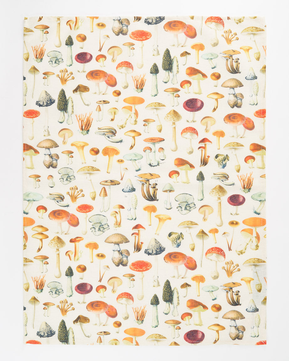 TtFungi_1_11fe5696-ab11-48f5-9aaa-65e9091c4fc0.jpg