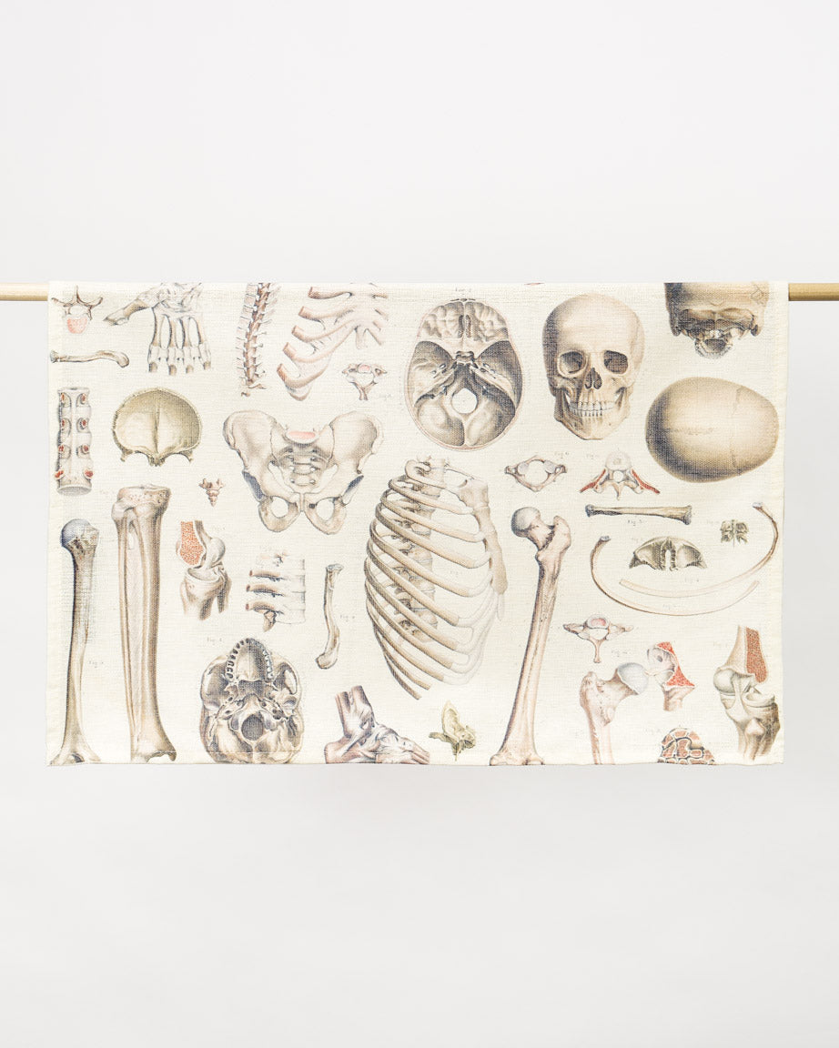 TtSkeleton_3_e9519329-1f53-4f54-b969-91d09bd58c8d.jpg
