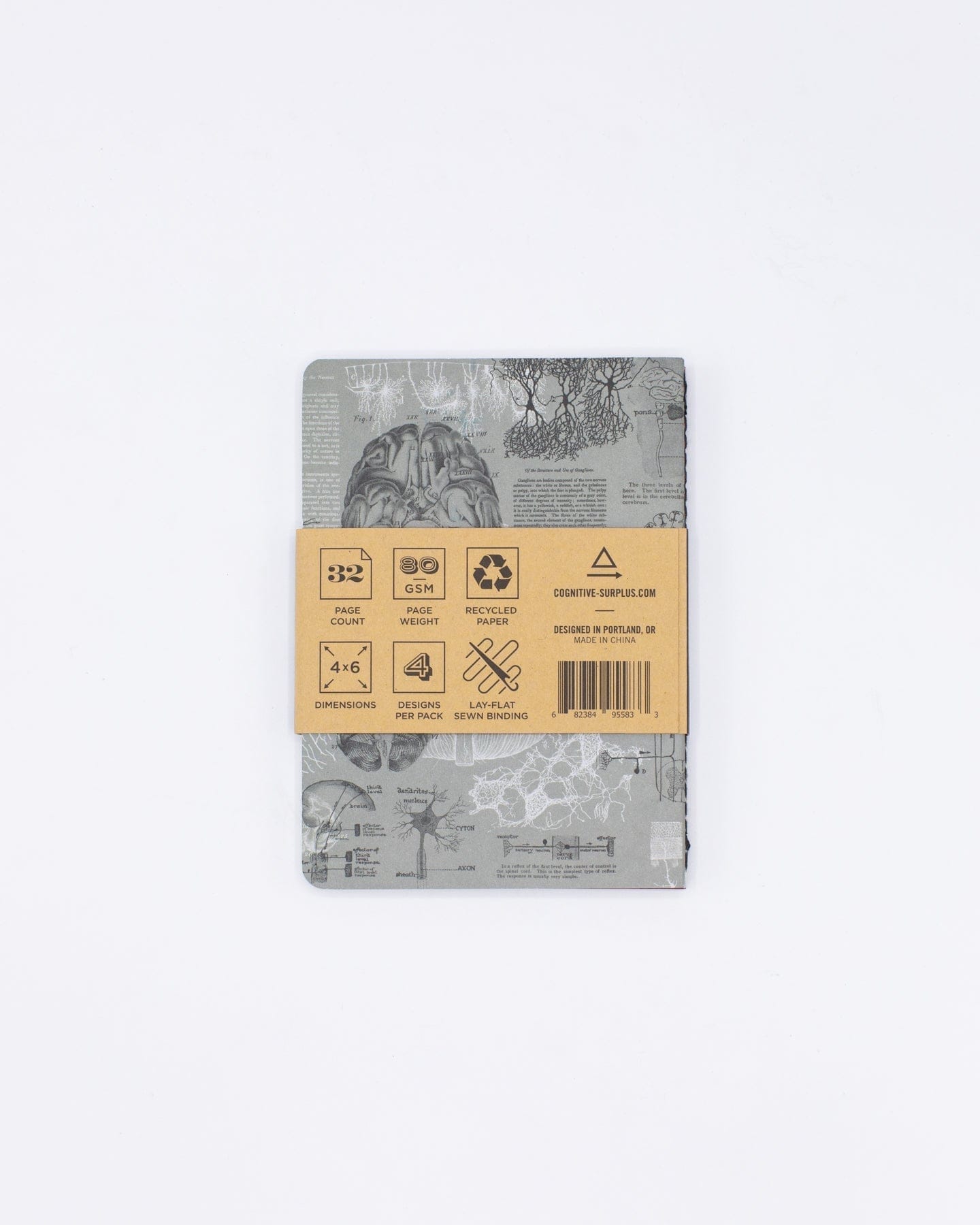 Anatomy Pocket Notebook 4-pack Cognitive Surplus