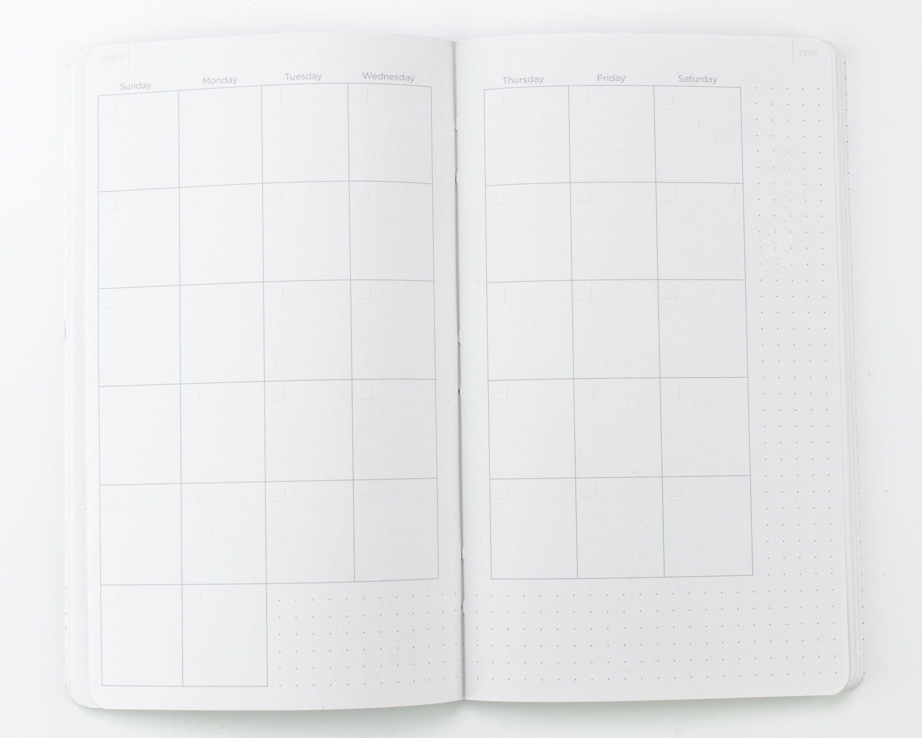 Anatomy: Vascular Yearly Planner Cognitive Surplus