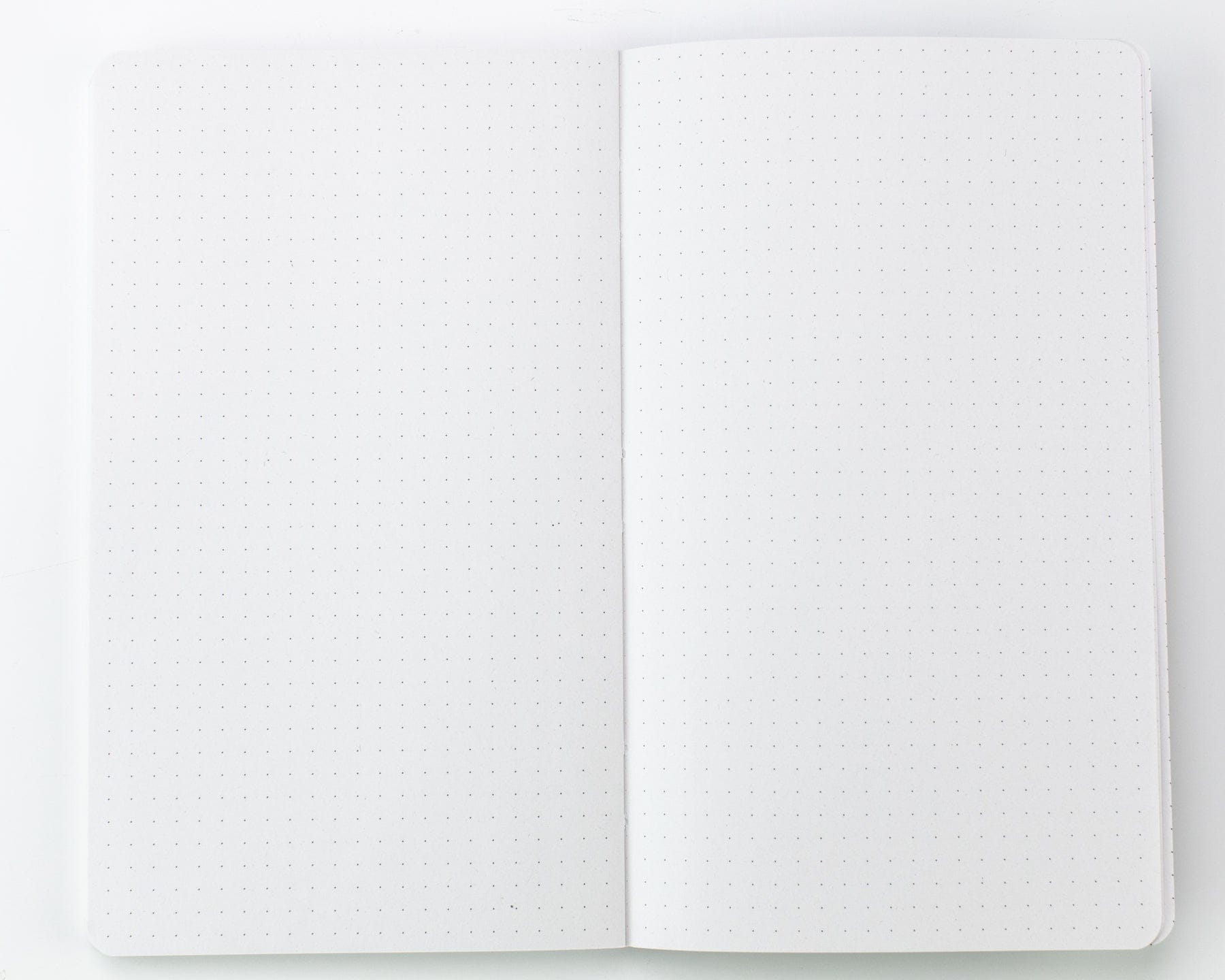 Anatomy: Vascular Yearly Planner Cognitive Surplus