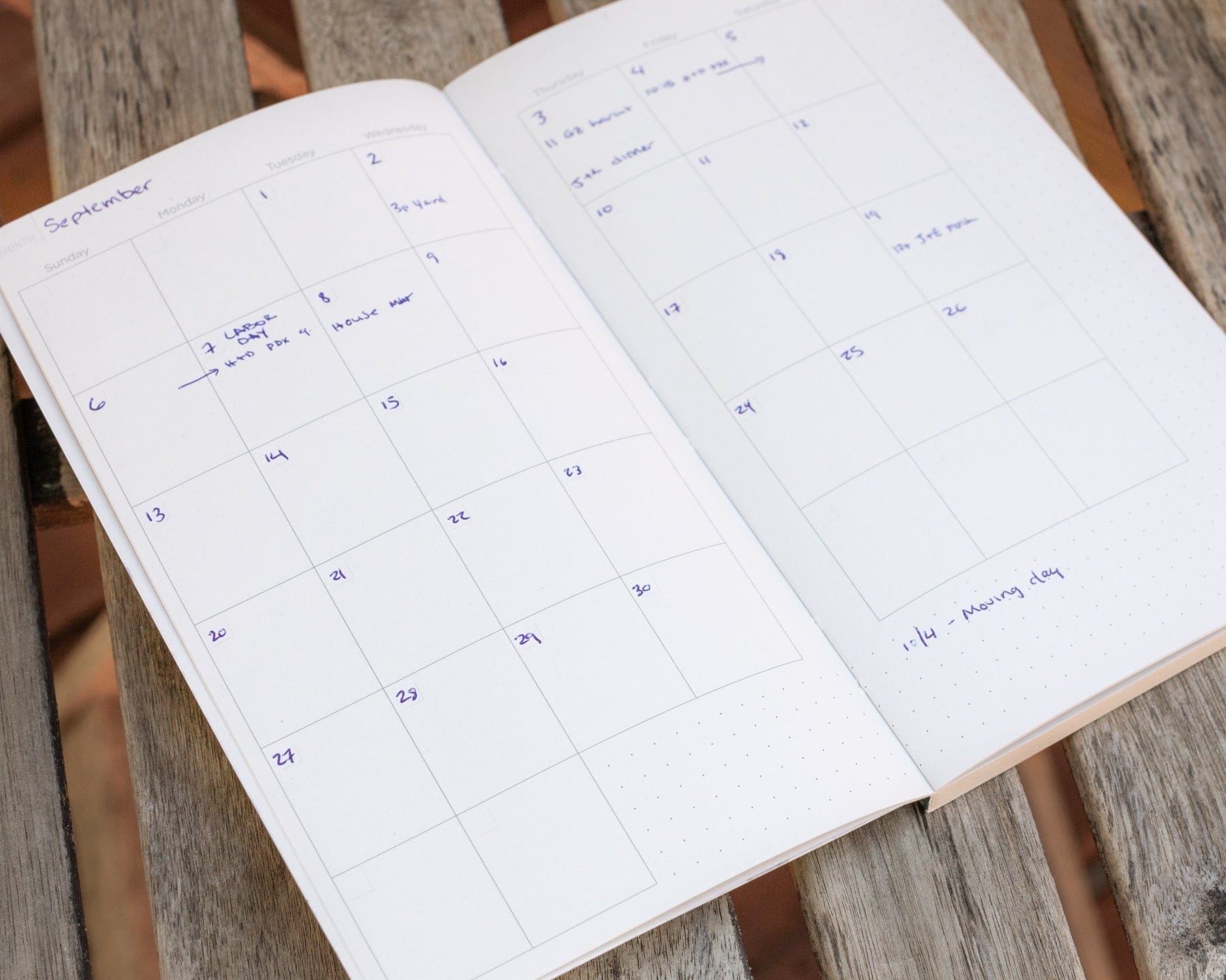 Anatomy: Vascular Yearly Planner Cognitive Surplus