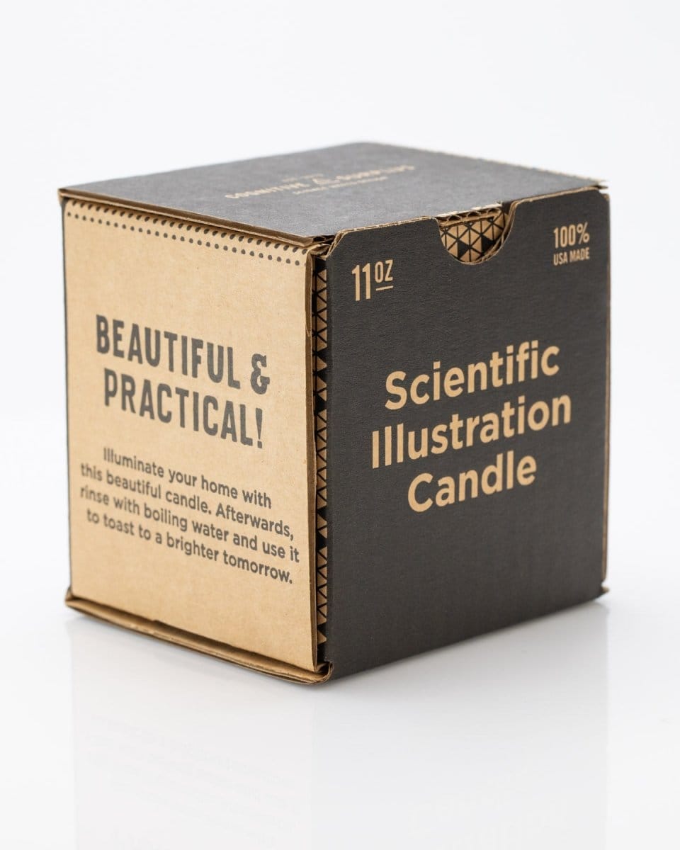 Feather Cocktail Candle Cognitive Surplus
