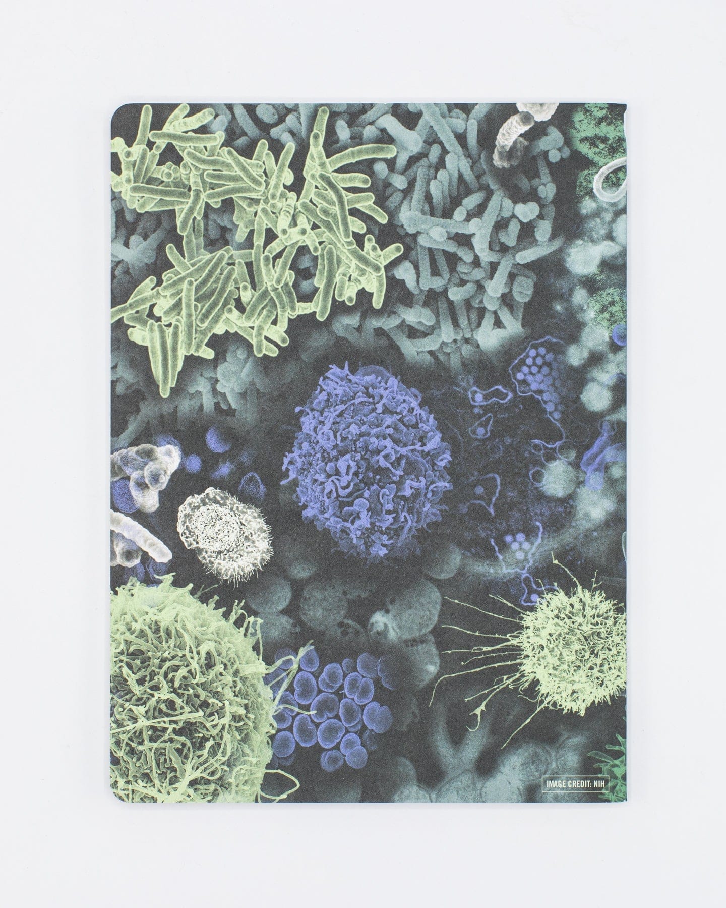 Infectious Disease Softcover - Lined Cognitive Surplus