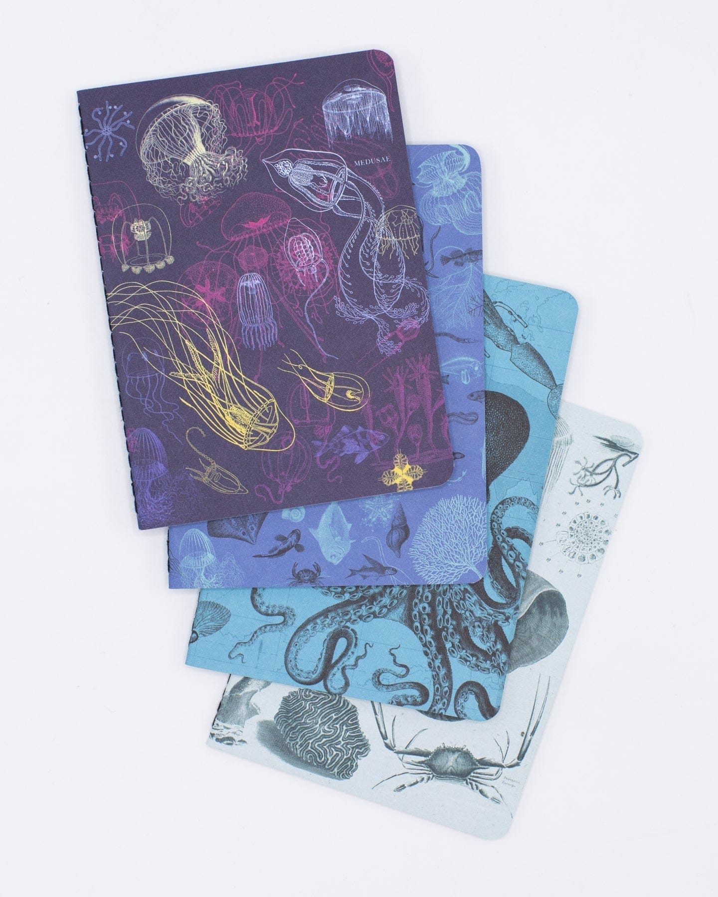 Marine Biology Pocket Notebook 4-pack Cognitive Surplus
