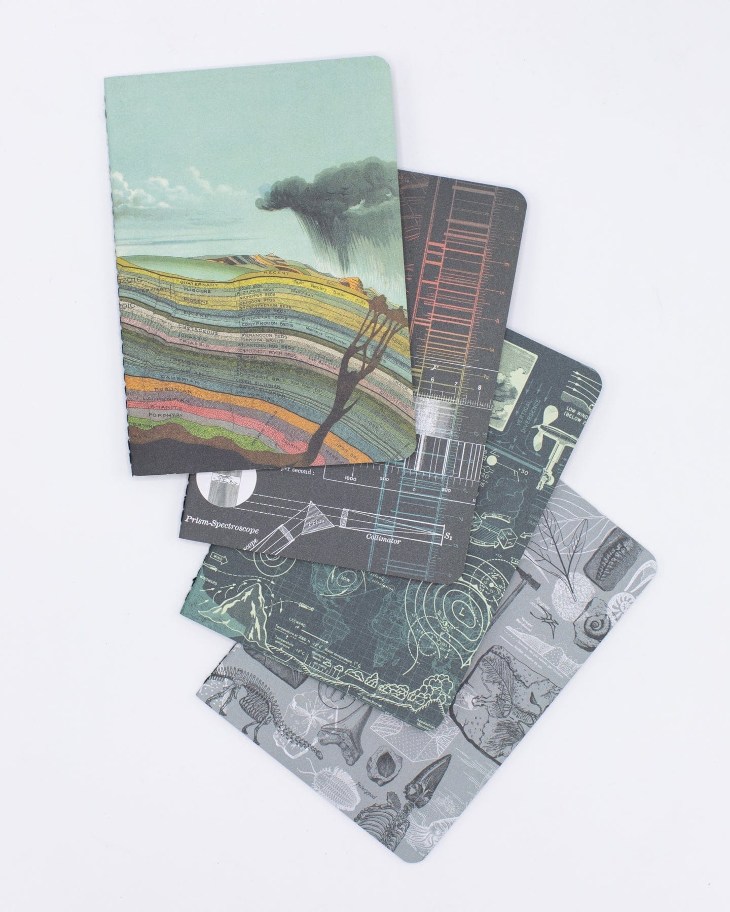 Natural History Pocket Notebooks 4-pack Cognitive Surplus