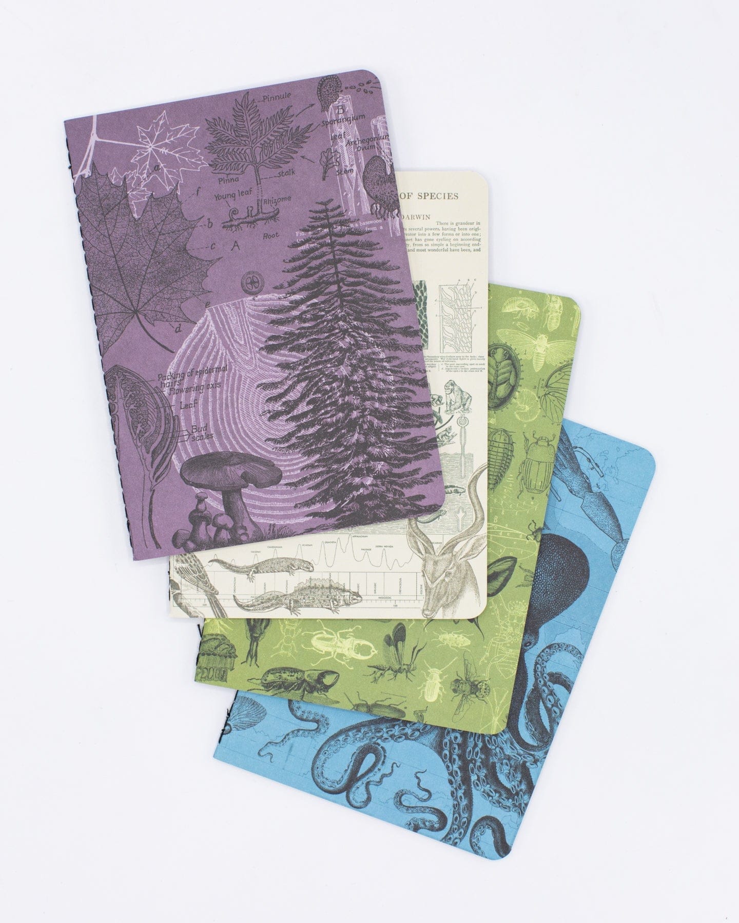 Natural Science Pocket Notebook 4-pack Cognitive Surplus