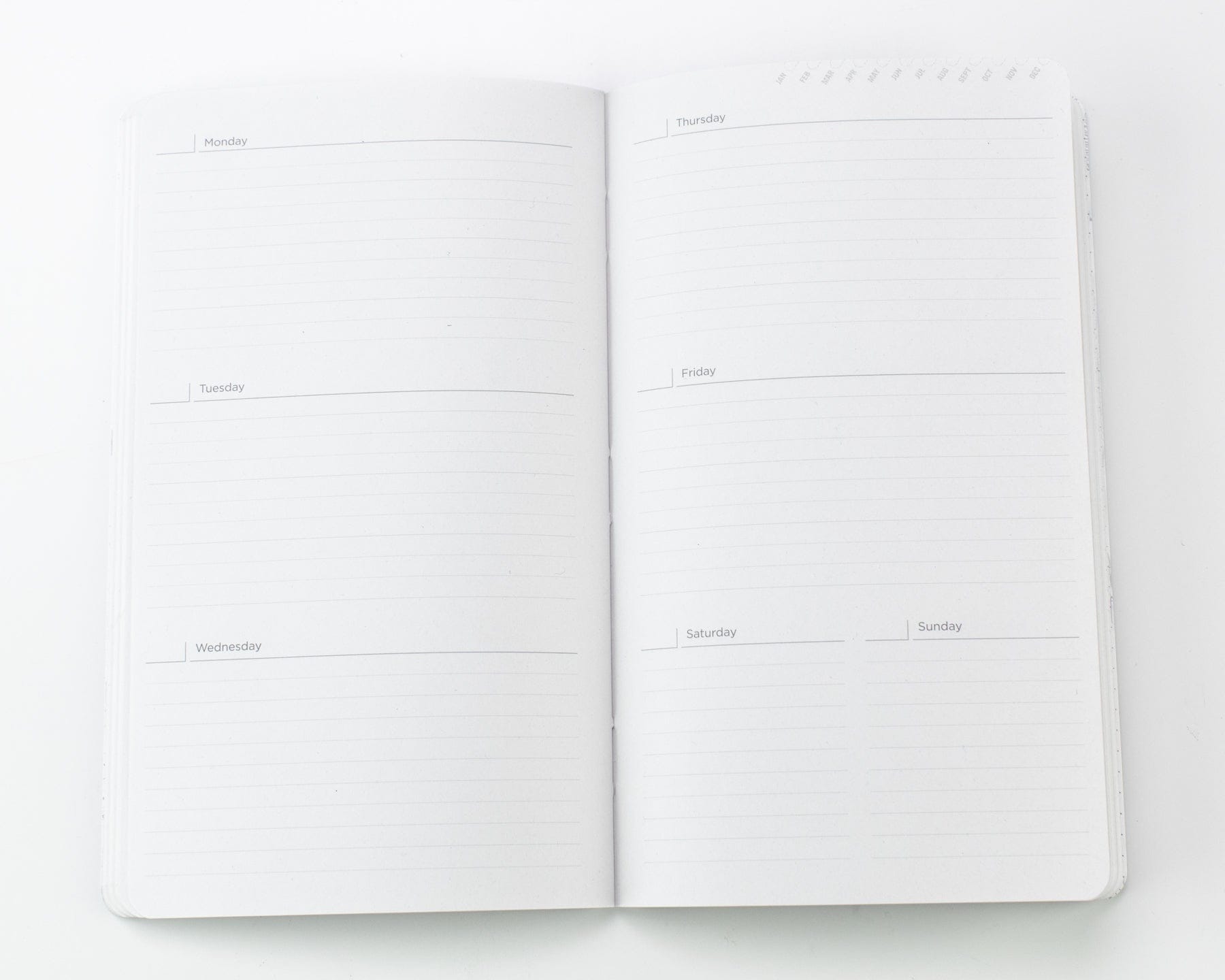 Neural Circuit Yearly Planner Cognitive Surplus