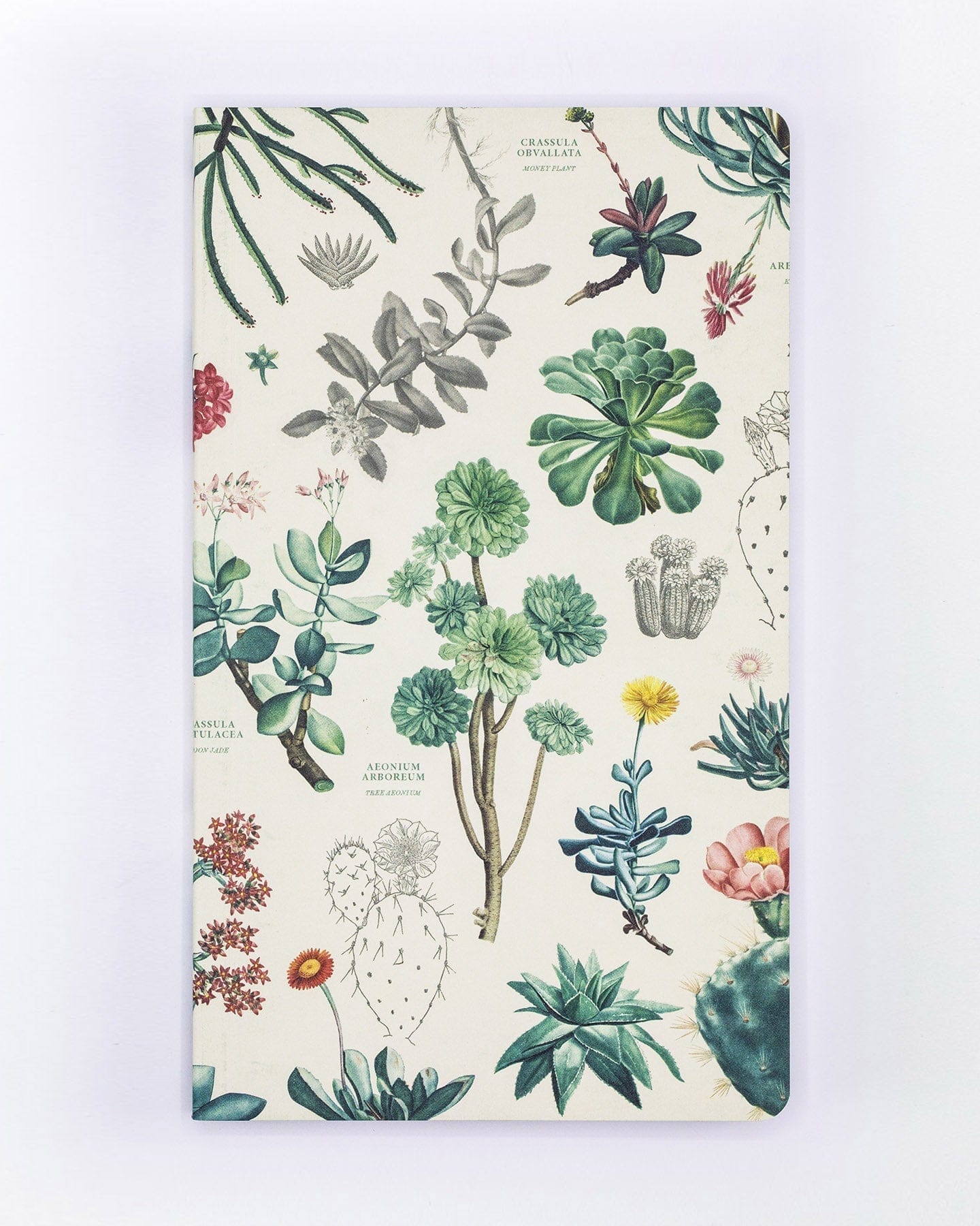 Succulents Yearly Planner Cognitive Surplus